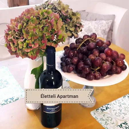 Eletteli Apartman * Erlau